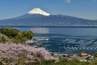 photo?id=3012&suffix=t