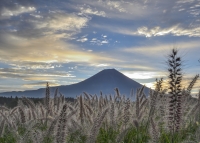photo?id=3013&suffix=t