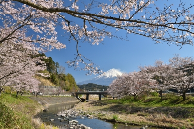 photo?id=3016&suffix=m