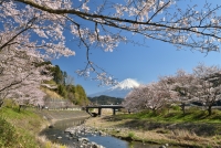 photo?id=3016&suffix=t
