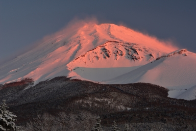 photo?id=3017&suffix=m