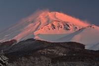 photo?id=3017&suffix=t