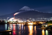 photo?id=3018&suffix=t