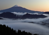 photo?id=3020&suffix=t
