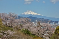 photo?id=3021&suffix=t