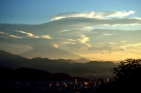 photo?id=3024&suffix=t