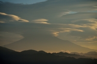photo?id=3025&suffix=t