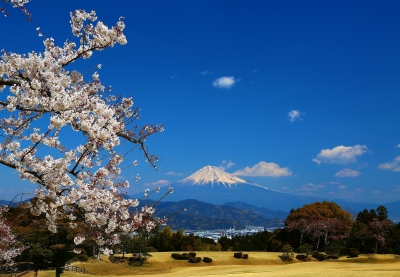 photo?id=3028&suffix=m