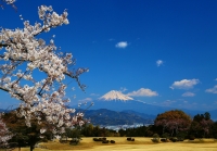 photo?id=3028&suffix=t