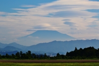 photo?id=3029&suffix=t