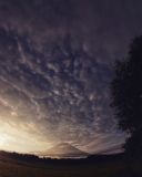 photo?id=3032&suffix=t