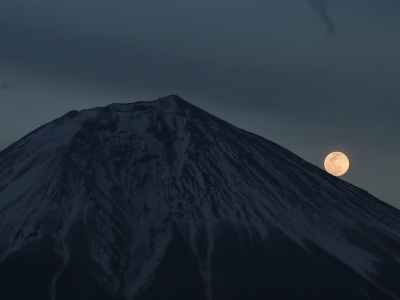 photo?id=3033&suffix=m