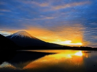 photo?id=3034&suffix=t