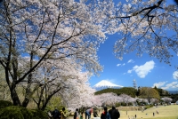photo?id=3035&suffix=t