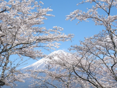 photo?id=3036&suffix=m