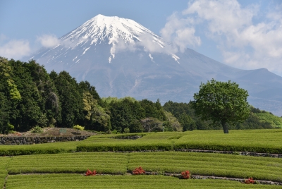 photo?id=3042&suffix=m