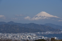 photo?id=3044&suffix=t