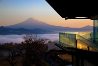 photo?id=3046&suffix=t