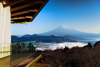 photo?id=3047&suffix=t