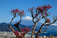 photo?id=3048&suffix=t