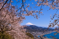 photo?id=3049&suffix=t