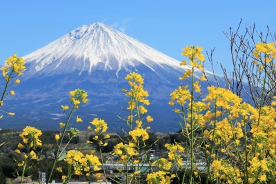 photo?id=3052&suffix=m
