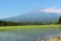 photo?id=3055&suffix=t