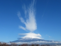 photo?id=3056&suffix=t