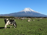 photo?id=3057&suffix=t