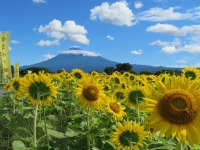 photo?id=3058&suffix=t