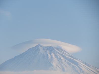 photo?id=3059&suffix=m