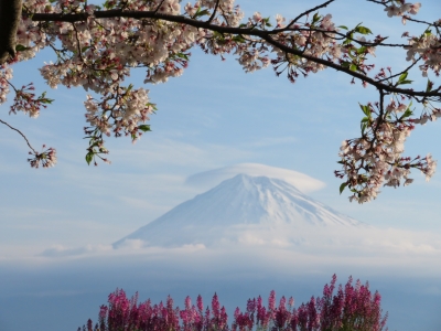 photo?id=3060&suffix=m