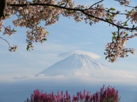 photo?id=3060&suffix=t