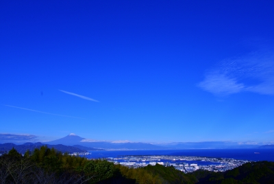 photo?id=3061&suffix=m