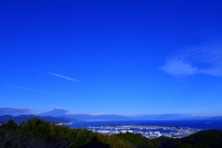 photo?id=3061&suffix=t