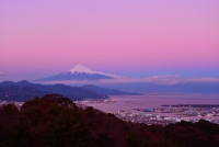 photo?id=3062&suffix=t