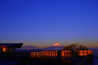 photo?id=3063&suffix=t