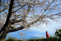 photo?id=3076&suffix=t