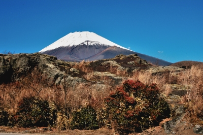 photo?id=3077&suffix=m