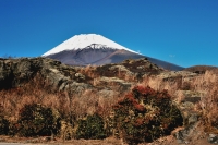 photo?id=3077&suffix=t