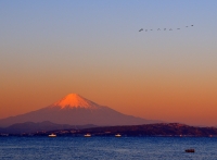 photo?id=3078&suffix=t
