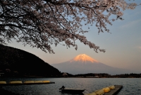 photo?id=3079&suffix=t