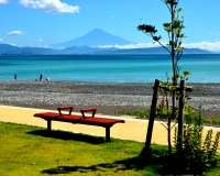 photo?id=3081&suffix=t