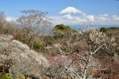 photo?id=3082&suffix=m