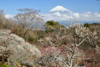 photo?id=3082&suffix=t