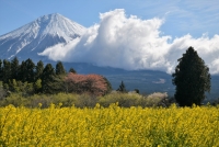 photo?id=3084&suffix=t
