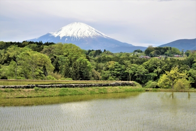 photo?id=3085&suffix=m