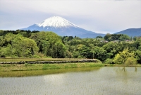 photo?id=3085&suffix=t