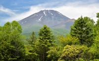 photo?id=3086&suffix=t