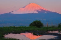 photo?id=3099&suffix=t